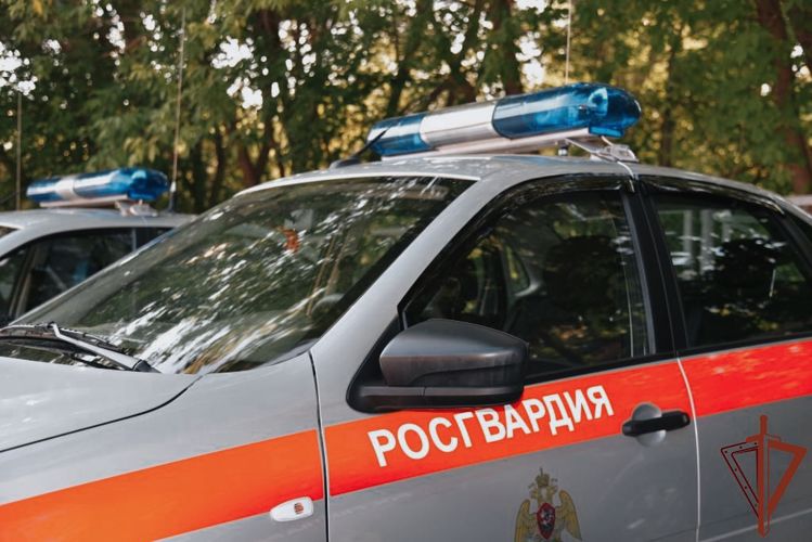 Наряд Росгвардии вернул матери потерявшегося ребенка в Архангельске