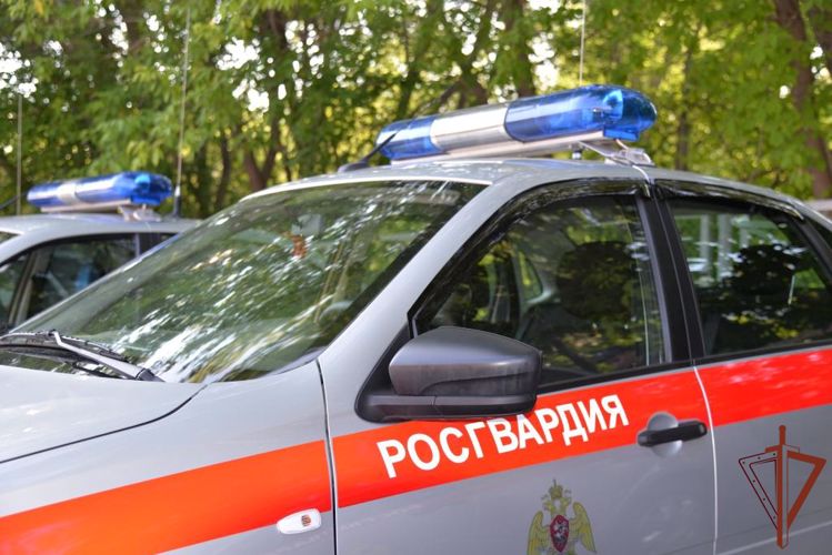 В Приморье сотрудники вневедомственной охраны Росгвардии за неделю задержали 30 граждан, находящихся в розыске