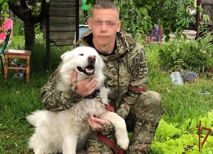 Сотрудники Росгвардии привезли с собой со спецоперации спасенных собак