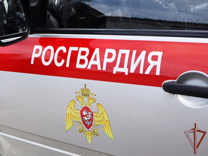 Росгвардейцы нашли и вернули родителям потерявшегося ребенка в Ингушетии