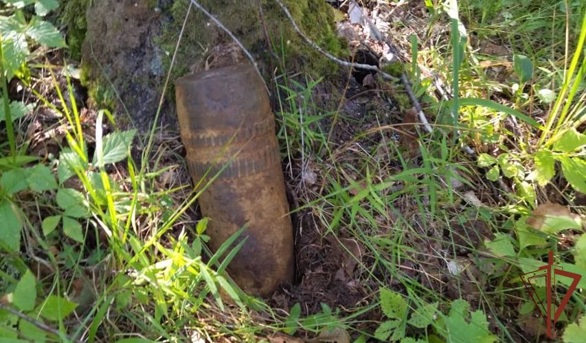 Взрывотехники Росгвардии уничтожили боеприпас, обнаруженный в лесном массиве Вологодской области  