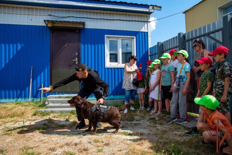Всероссийский ведомственный проект «Каникулы с Росгвардией» поддержали на Урале