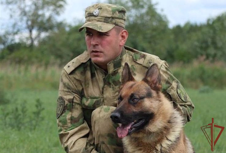 Специалисты-кинологи Росгвардии приступили к профильному обучению в Тюмени
