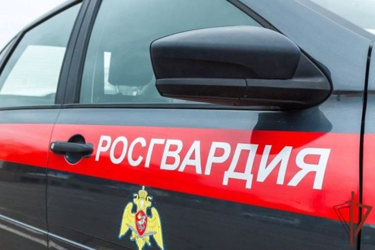 Наряд Росгвардии задержал в Архангельске хулиганов, брызнувших  перцовым газом в школьников