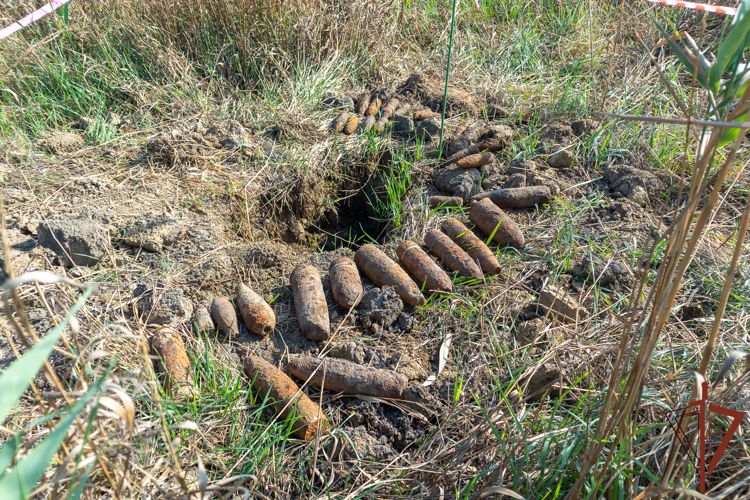 Взрывотехники Росгвардии уничтожили боеприпасы периода ВОВ, обнаруженные на Кубани (видео)