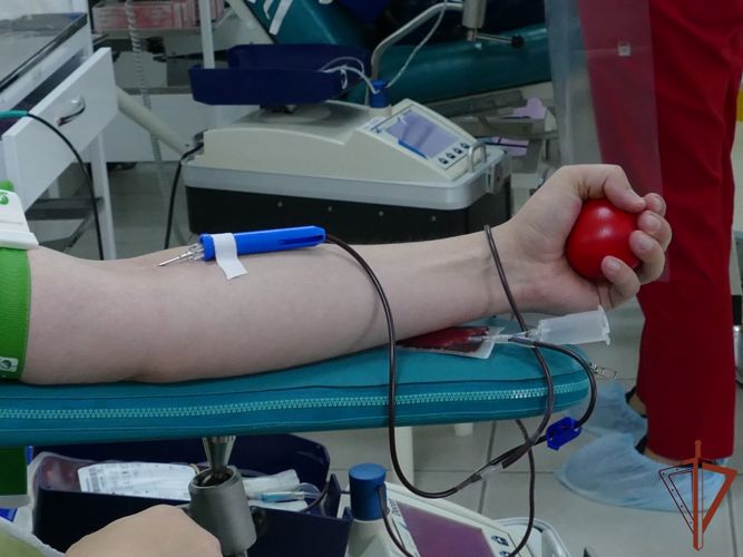 Росгвардейцы сдали кровь для медучреждений в Сибири