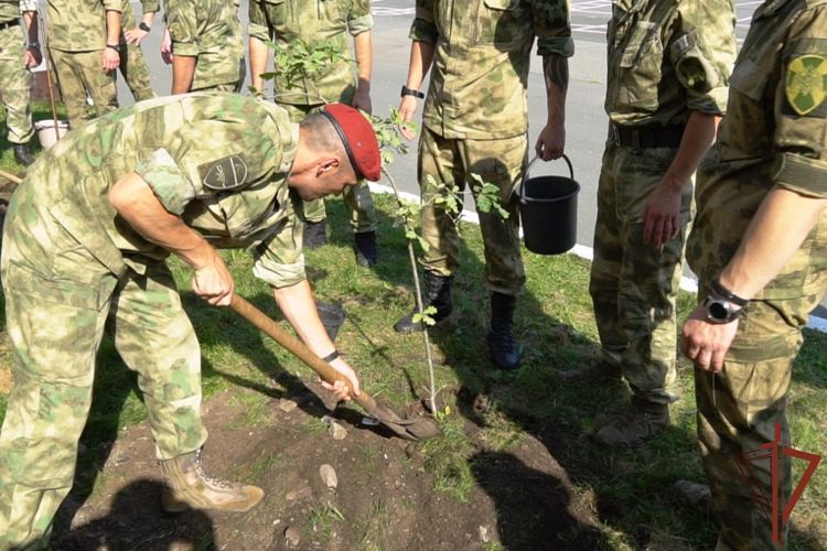 Росгвардейцы Архангельской области заложили дубово-берëзовую аллею