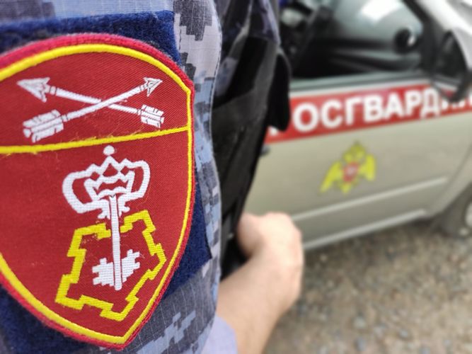 Сотрудники Росгвардии не позволили мошенникам обмануть красноярскую пенсионерку