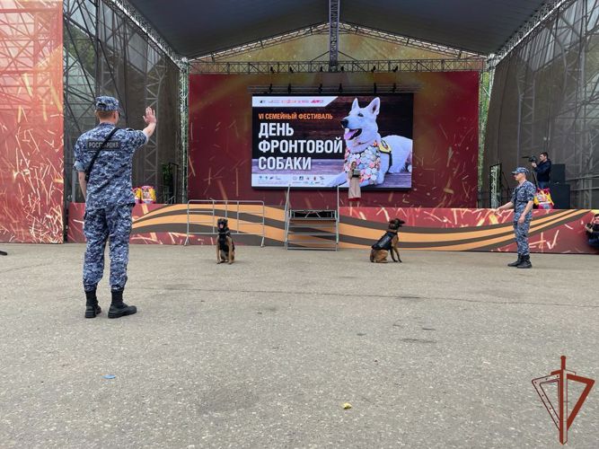 Кинологи Росгвардии вместе с четвероногими питомцами выступили на Дне фронтовой собаки