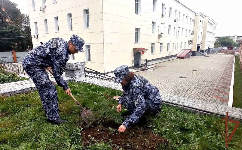 В Приморье росгвардейцы поддержали Всероссийскую ведомственную акцию "Древо Сталинграда"