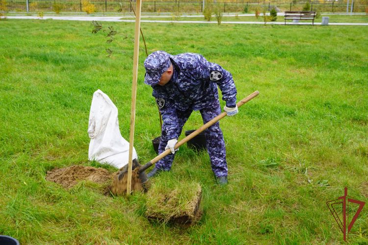 Нарьян-Мар принял эстафету военно-патриотической акции Росгвардии «Древо Сталинграда»
