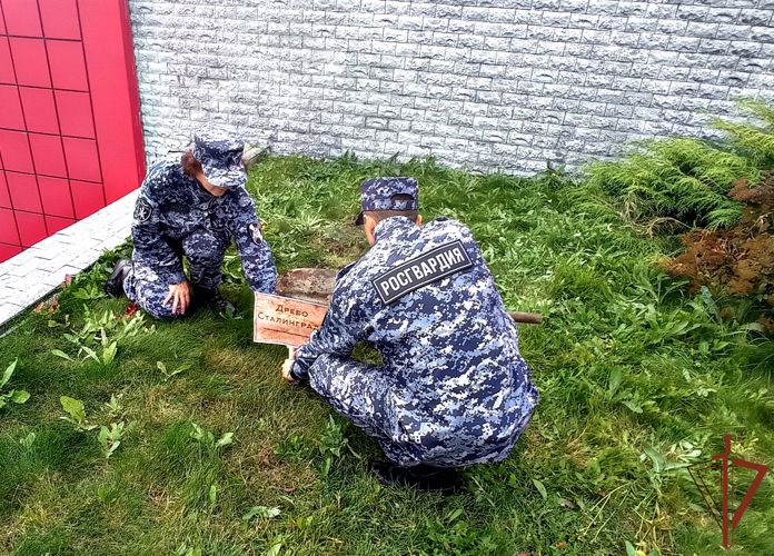 В Приморье росгвардейцы поддержали Всероссийскую ведомственную акцию "Древо Сталинграда"