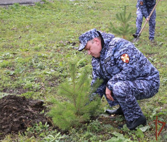 К ведомственной акции "Древо Сталинграда" присоединились росгвардейцы из Мордовии  