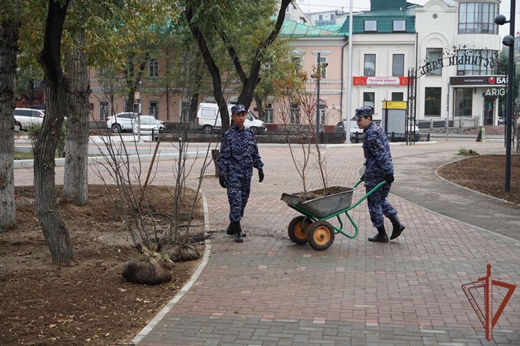 К акции «Древо Сталинграда» присоединились росгвардейцы из Бурятии 