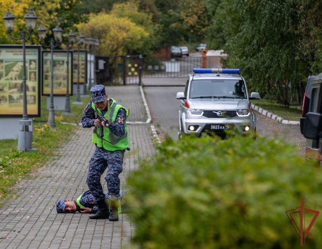 Кинологи из Росгвардии выступили на фестивале служебного собаководства