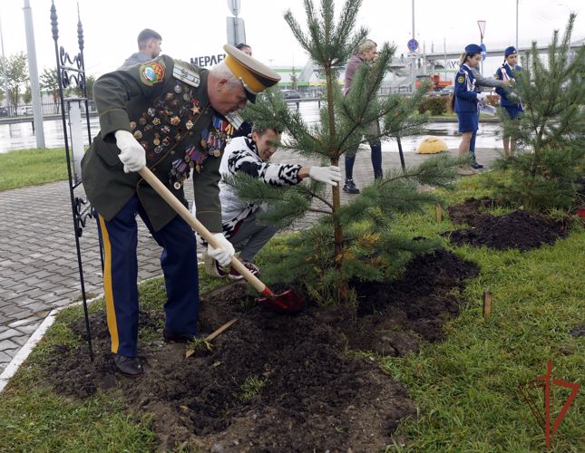 Аллея памяти и славы бойцам войск правопорядка заложена в Хабаровске 