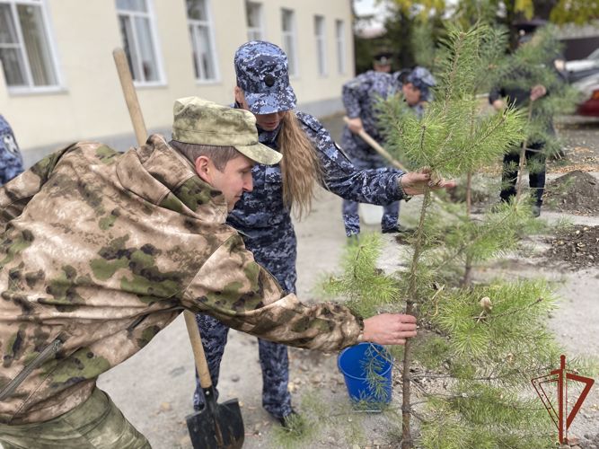 Аллея, посвященная 70-летию вневедомственной охраны Росгвардии, появилась в Иркутской области