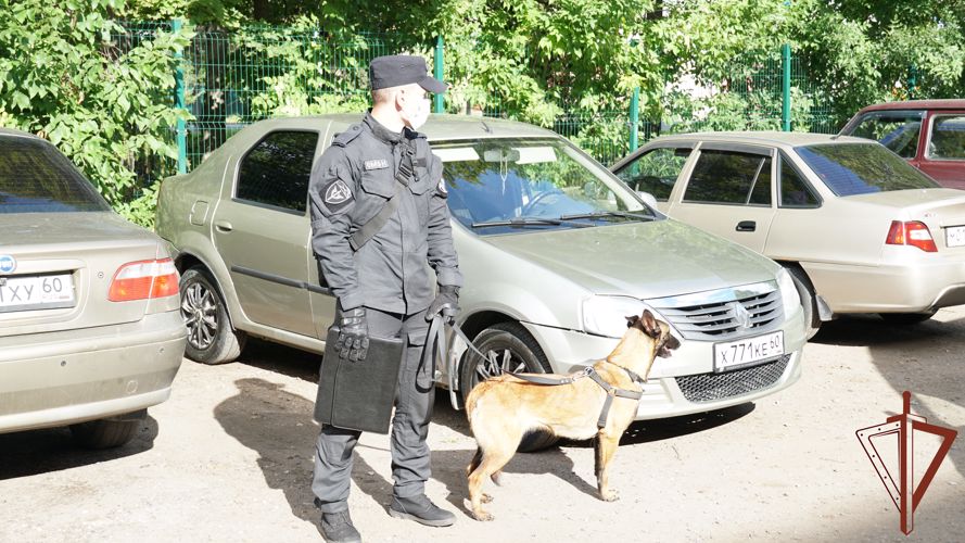 В Псковской области росгвардейцы принимают участие в обеспечении общественной безопасности при проведении выборов