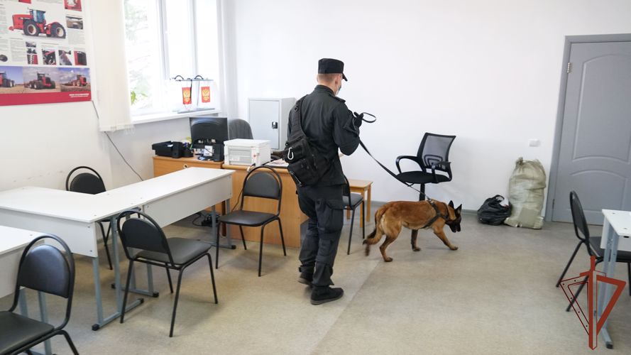 В Псковской области росгвардейцы принимают участие в обеспечении общественной безопасности при проведении выборов