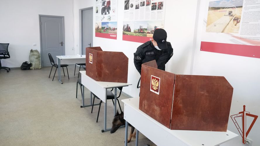 В Псковской области росгвардейцы принимают участие в обеспечении общественной безопасности при проведении выборов
