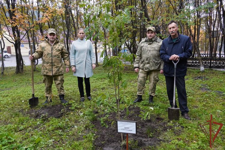 В акции «Лес Победы» приняли участие росгвардейцы из Мурманской области