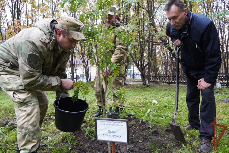 В акции «Лес Победы» приняли участие росгвардейцы из Мурманской области