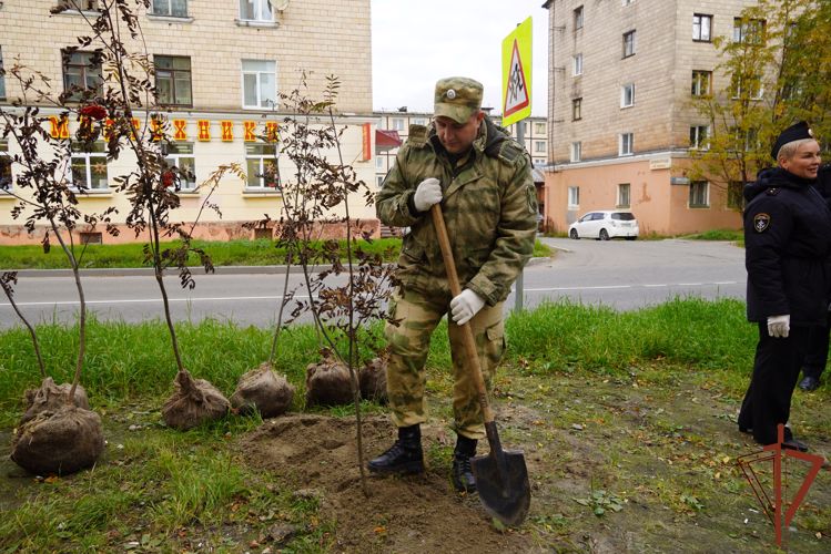 Акцию «Страницы Победы: Сталинград» поддержали росгвардейцы из Мурманской области 