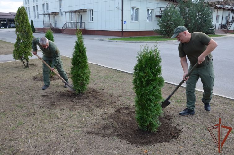 В акции «Древо Сталинграда» приняли участие росгвардейцы из Кабардино-Балкарии