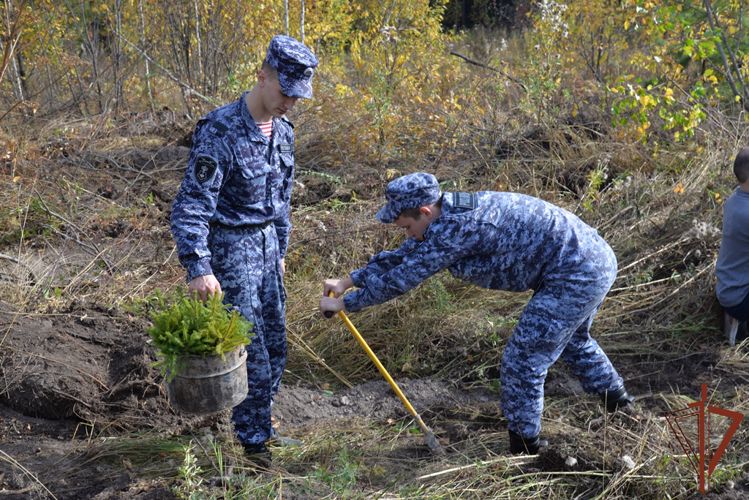 Росгвардейцы приняли участие в акции «Живи, лес» в Свердловской области (видео)
