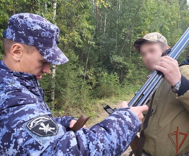 В Северо-Западном округе Росгвардии проходят профилактические мероприятия в рамках охотничьего сезона