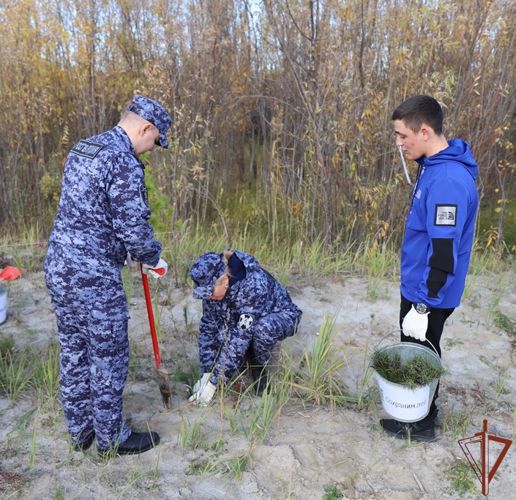 В рамках  акции «Древо Сталинграда»  росгвардейцы из Югры высадили сосны и ели