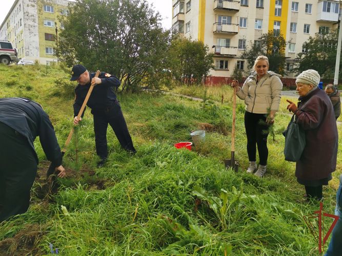 В акции «Лес Победы» приняли участие росгвардейцы из Мурманской области