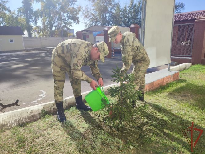 Росгвардейцы в Сибири приняли участие во Всероссийском проекте «Росгвардия. Страницы Победы: Сталинград» 
