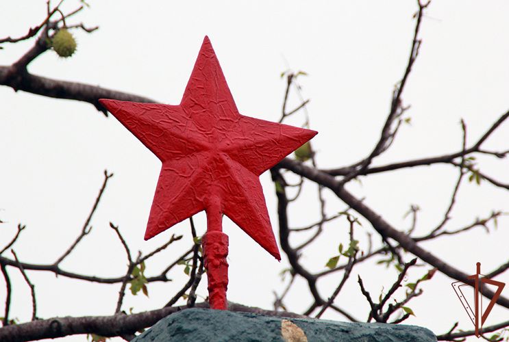 Представители Росгвардии приняли участие в патриотическом мероприятии в Чеченской Республике
