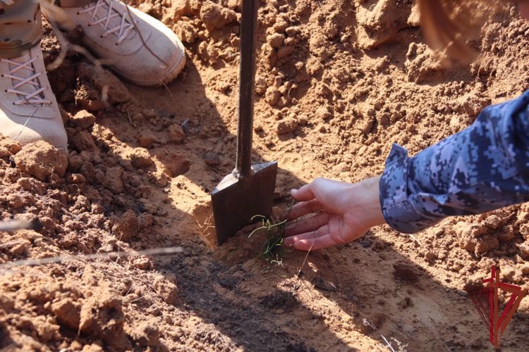 К лесовосстановительной акции «Zабайкальский лес»   присоединились росгвардейцы