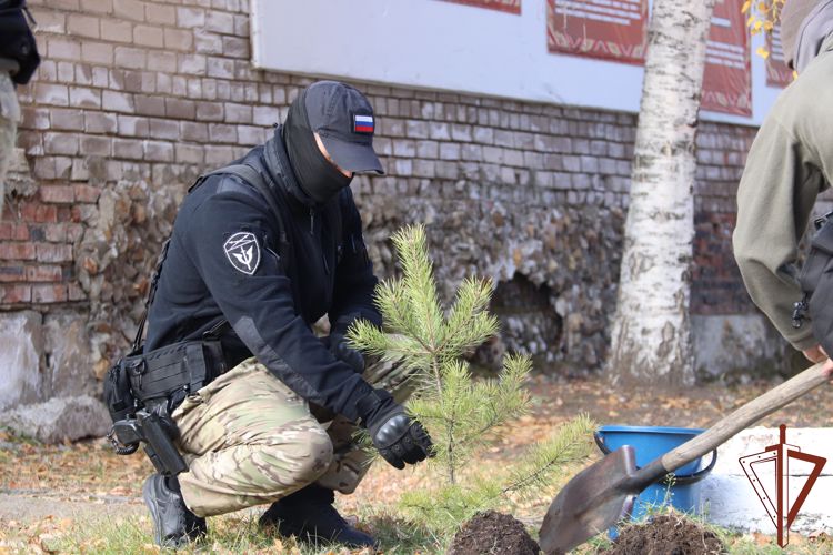 В Чите сотрудники Росгвардии присоединились к акции «Древо Сталинграда» (видео)