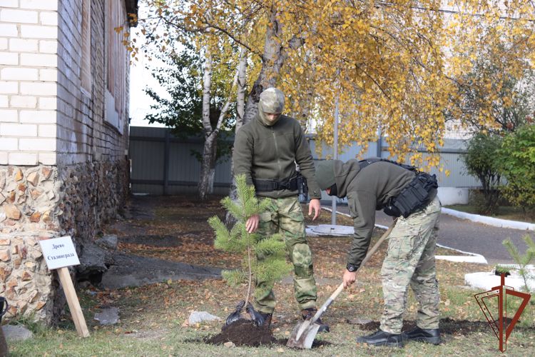 В Чите сотрудники Росгвардии присоединились к акции «Древо Сталинграда» (видео)