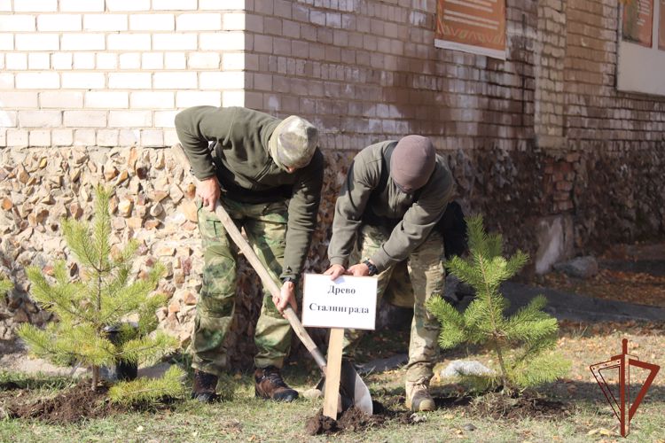 В Чите сотрудники Росгвардии присоединились к акции «Древо Сталинграда» (видео)