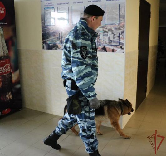 Правопорядок на матчах КХЛ в Челябинске обеспечивают сотрудники Росгвардии