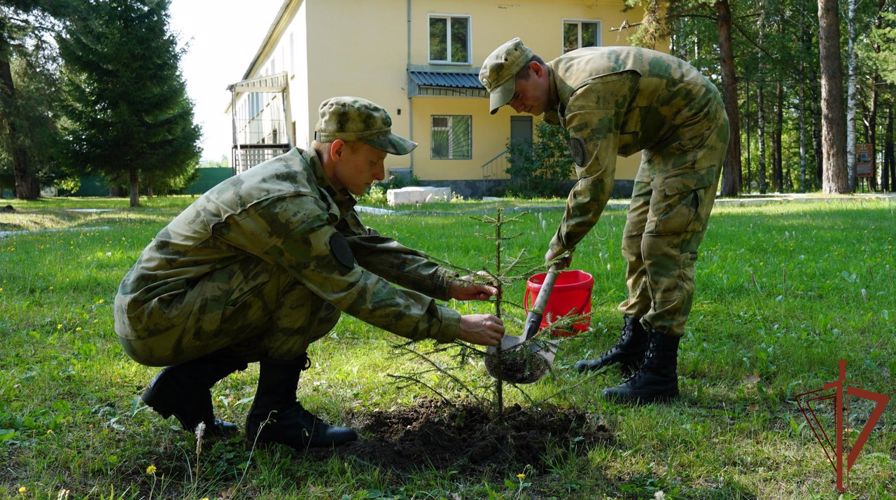 В Кирове росгвардейцы поддержали Всероссийскую ведомственную акцию "Древо Сталинграда"