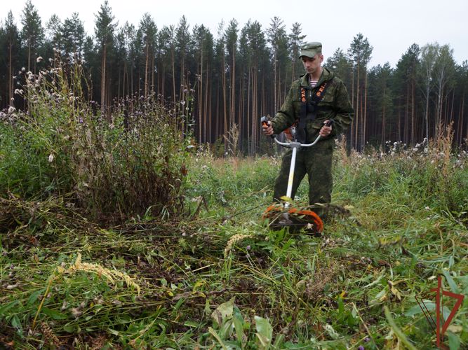 Места захоронений ветеранов войн  продолжают облагораживать  росгвардейцы в Томской области