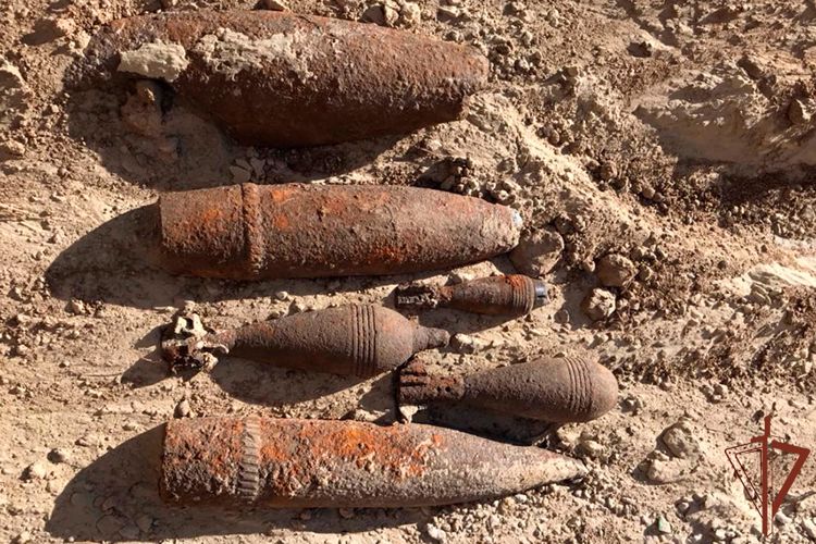 Боеприпасы времен Великой Отечественной войны обезвредили взрывотехники Росгвардии  на Кубани  