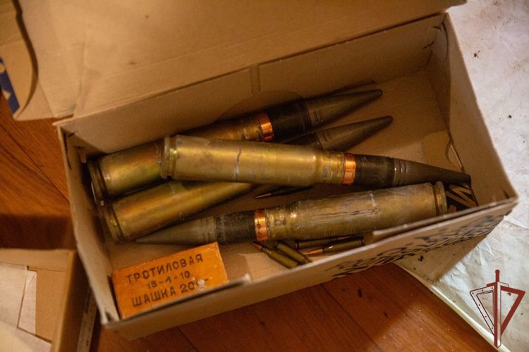 Военнослужащие Росгвардии в Запорожской области задержали вооруженного пособника ВСУ (видео)