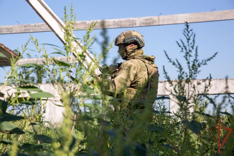 Спецназ Росгвардии обнаружил схрон вооружения националистов в Херсонской области (видео)