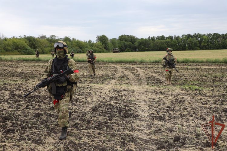 Три схрона с оружием и боевой техникой обнаружены Росгвардией в ЛНР