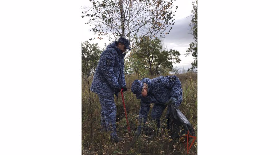 Всероссийская акция Росгвардии «Деревья Сталинграда» проводится в Самарской области