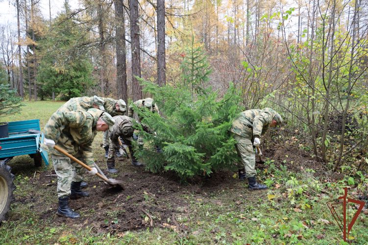 Росгвардейцы Татарстана присоединились к патриотической акции «Древо Сталинграда»