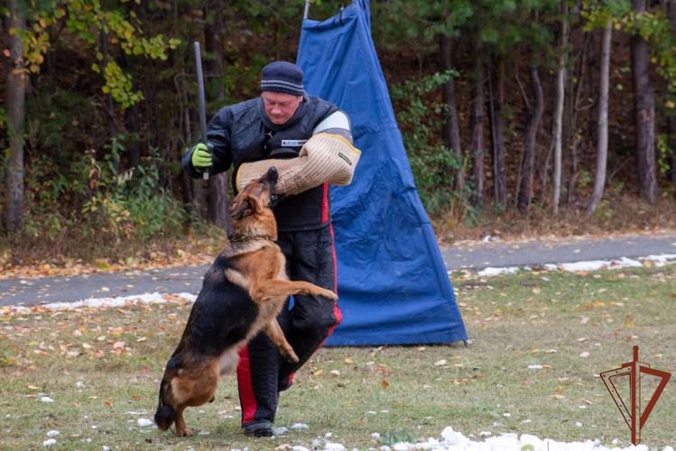 Монопородную выставку овчарок посвятили памяти кинолога Росгвардии