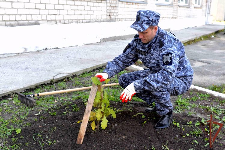 Росгвардейцы в Кургане высадили дубовую аллею к 70-летию вневедомственной охраны