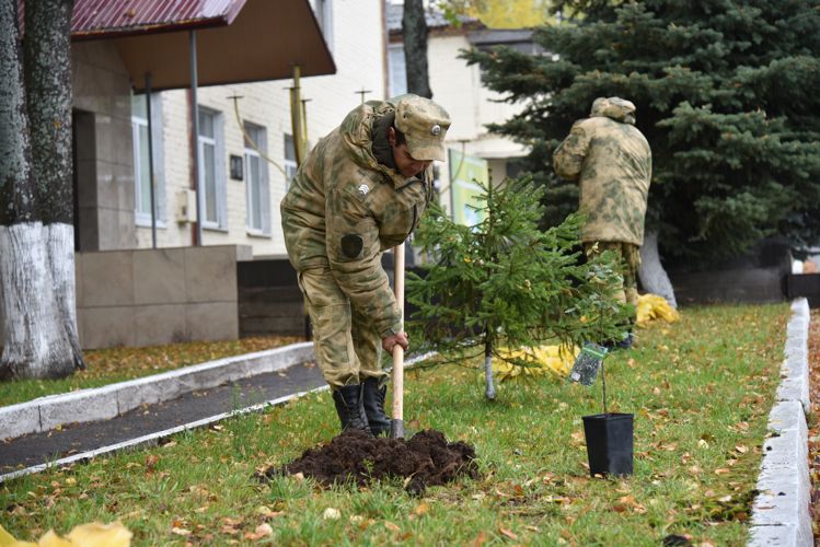В Удмуртии росгвардейцы приняли участие в ведомственной акции «Древо Сталинграда»
